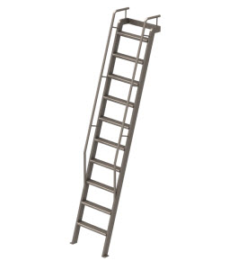 نردبان (LADDERS)